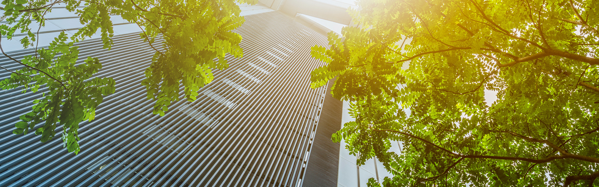 PP电子通力-清静